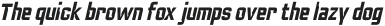 Anymspace Bold Oblique otf (700)