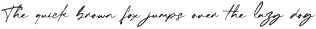 Checkbold Regular otf (700)