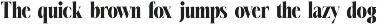 Melocity Elegant Display Serif preview