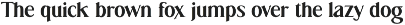 Gundogan | Serif Font preview