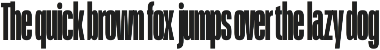 Schmidt: Narrow Variable Sans preview