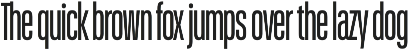 Schmidt: Narrow Variable Sans preview
