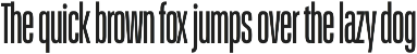 Schmidt: Narrow Variable Sans preview