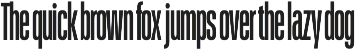 Schmidt: Narrow Variable Sans preview