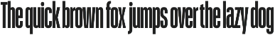 Schmidt: Narrow Variable Sans preview