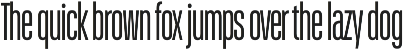 Schmidt: Narrow Variable Sans preview