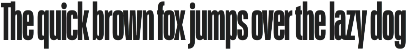 Schmidt: Narrow Variable Sans preview