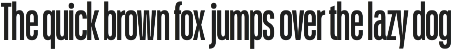 Schmidt: Narrow Variable Sans preview