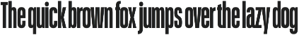 Schmidt: Narrow Variable Sans preview