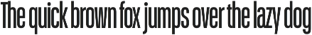 Schmidt: Narrow Variable Sans preview