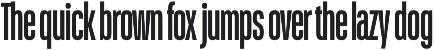Schmidt: Narrow Variable Sans preview