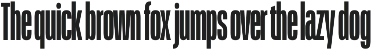 Schmidt: Narrow Variable Sans preview