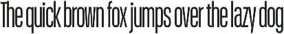 Schmidt: Narrow Variable Sans preview