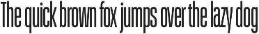 Schmidt: Narrow Variable Sans preview