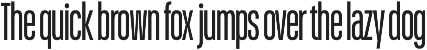 Schmidt: Narrow Variable Sans preview