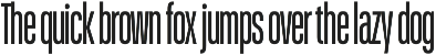 Schmidt: Narrow Variable Sans preview