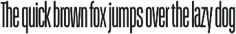 Schmidt: Narrow Variable Sans preview