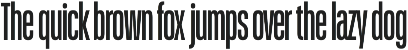 Schmidt: Narrow Variable Sans preview