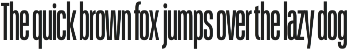 Schmidt: Narrow Variable Sans preview