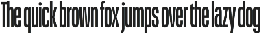 Schmidt: Narrow Variable Sans preview