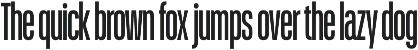 Schmidt: Narrow Variable Sans preview
