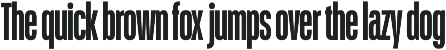 Schmidt: Narrow Variable Sans preview