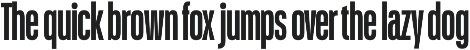 Schmidt: Narrow Variable Sans preview