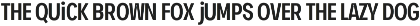 TYPEFACE Ink Trap Sans Variable FONT preview