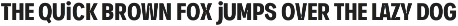 TYPEFACE Ink Trap Sans Variable FONT preview