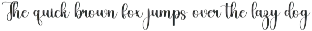 Paradise Rainbow preview