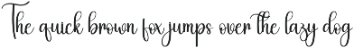 Brush Black | Script Font preview