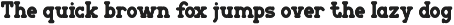 Holden Rounded - Slab Serif Font preview