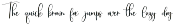 Thrifty preview