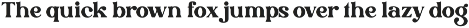 Drigha - Stylish Serif Font preview