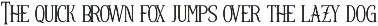 The Ragnar - Classic Serif Font preview