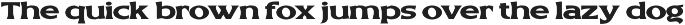 Skilens - Display Serif Typeface preview