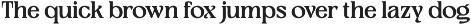 Meginer Nineties - Modern Serif preview