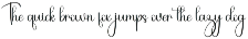 Frestype preview