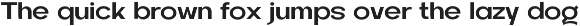 Hifty - Family Sans preview