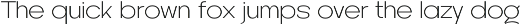 Hifty - Family Sans preview