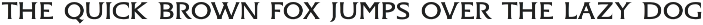 Starc Serif preview