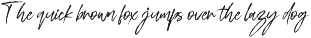 Rampack Handwritten Brush Texture preview