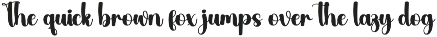 Amateur | Script Font preview