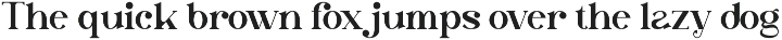 Tinday Serif Font preview