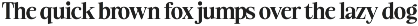 Ladinta - Family Serif Font preview