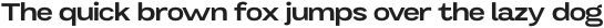 Mavora Sans SemiBold Extra Expanded otf (600)