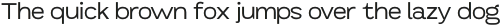Mavora Sans Expanded otf (400)