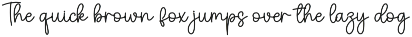 Nautica | Script Font preview