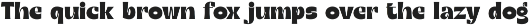 Bague Scout - Retro Groovy Serif preview