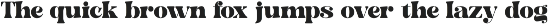 Bright Fresh Bold Retro Serif preview